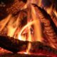 Fire background. Log and fire