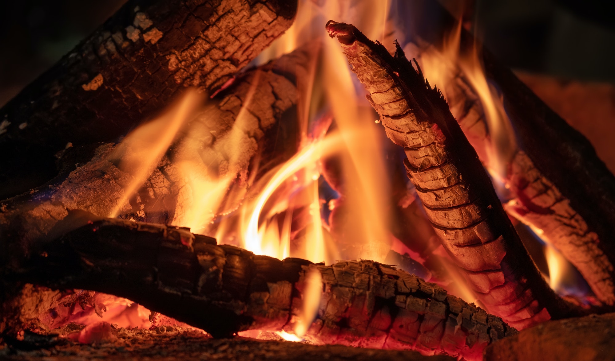 Fire background. Log and fire