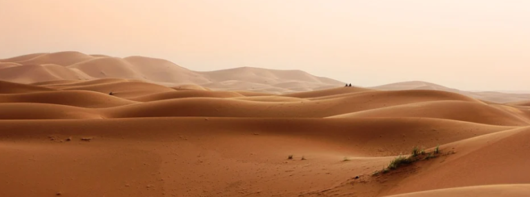 Rendez au Sahara ce qui appartient… au Sahara!