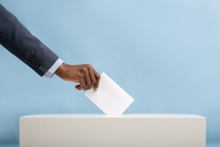 « Si vous votez pour moi, je ne ferai absolument rien » – BLANC