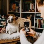 Instagram portrait