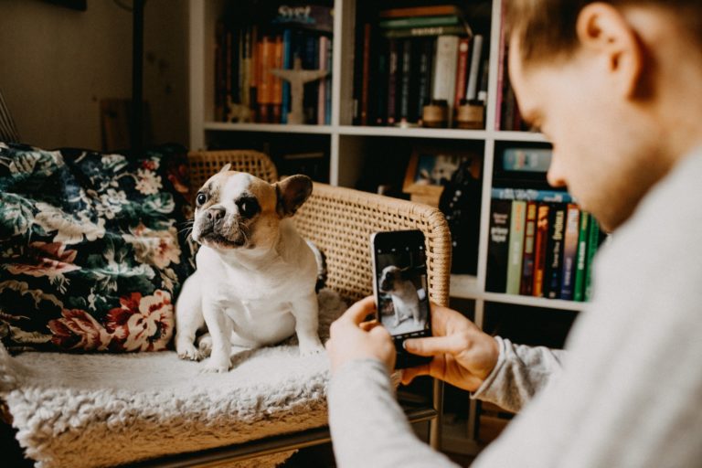 Comment gérer une page Instagram de manière optimale