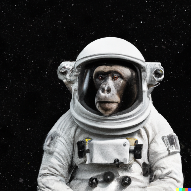 Nous avons retrouvé dans l&rsquo;espace, le singe que la Nasa avait envoyé il y a 63 ans.