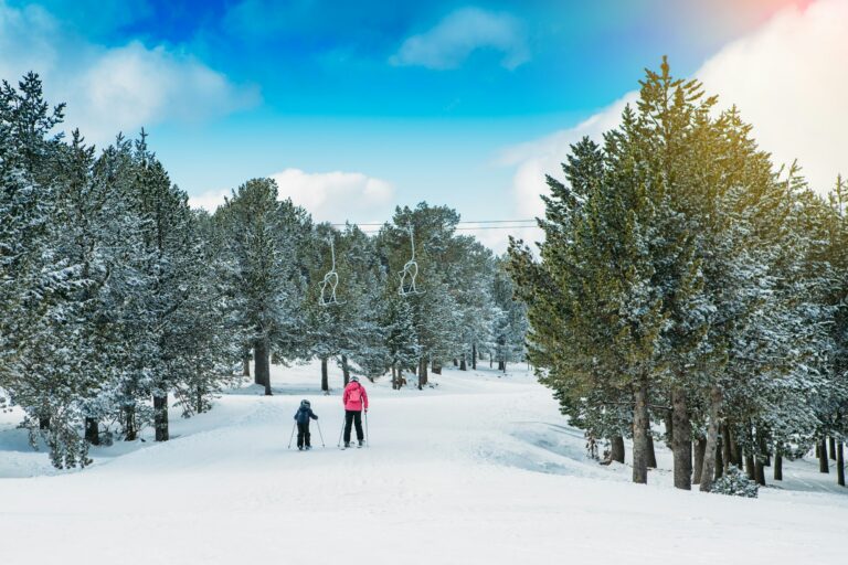 Les 5 destinations de vacances d&rsquo;hiver préférées des actionnaires d&rsquo;Engie. La quatrième vous fera rêver
